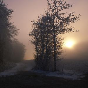 少妇疯狂性爱泛滥
