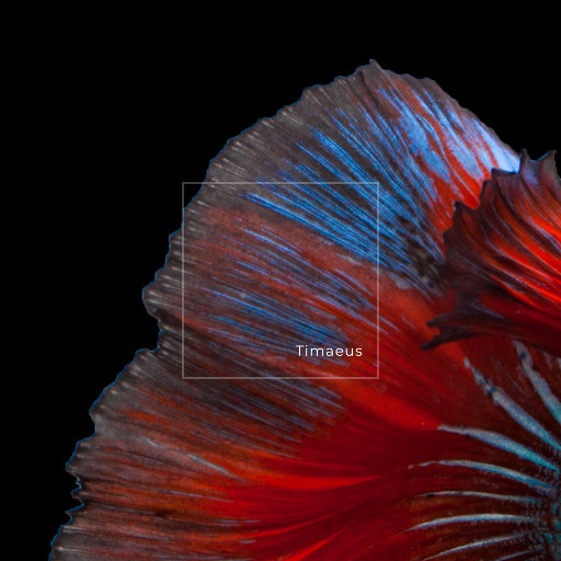 少妇疯狂性爱泛滥
